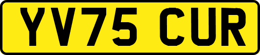 YV75CUR