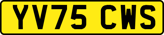 YV75CWS