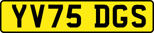 YV75DGS