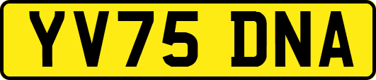 YV75DNA