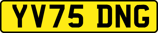 YV75DNG