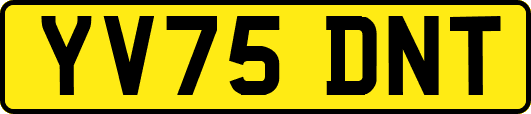 YV75DNT