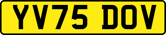 YV75DOV