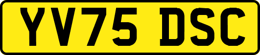 YV75DSC