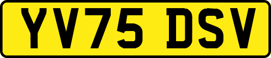 YV75DSV