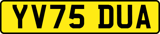 YV75DUA