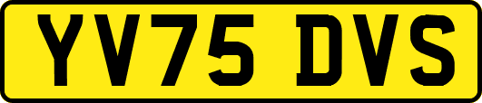 YV75DVS