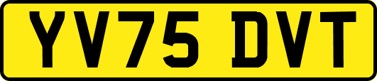 YV75DVT