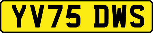 YV75DWS