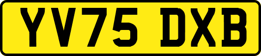 YV75DXB