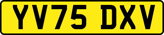 YV75DXV