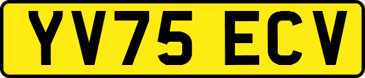 YV75ECV