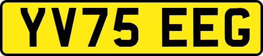 YV75EEG
