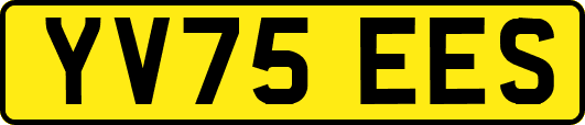 YV75EES