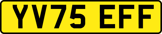 YV75EFF