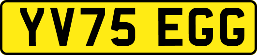 YV75EGG