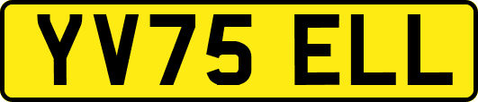 YV75ELL