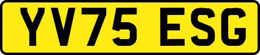 YV75ESG