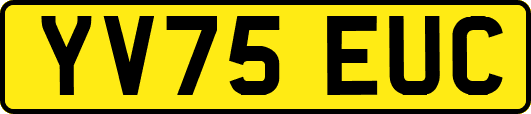 YV75EUC