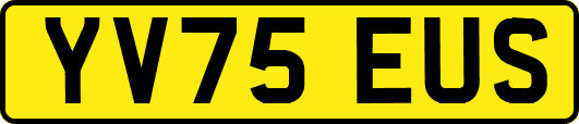 YV75EUS