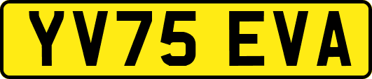 YV75EVA