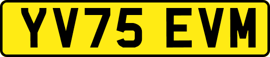 YV75EVM