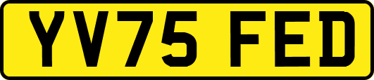 YV75FED