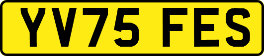 YV75FES