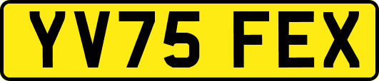 YV75FEX