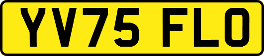 YV75FLO