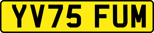 YV75FUM