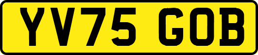 YV75GOB
