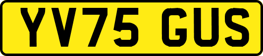 YV75GUS