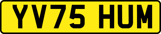 YV75HUM