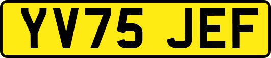 YV75JEF