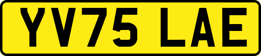 YV75LAE