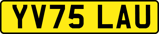 YV75LAU