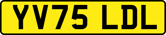 YV75LDL