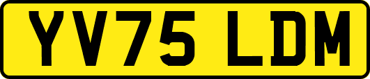 YV75LDM