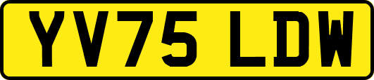 YV75LDW