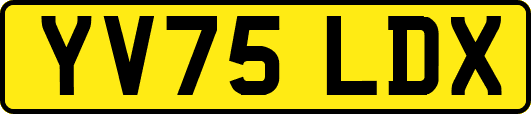 YV75LDX