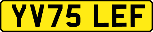 YV75LEF