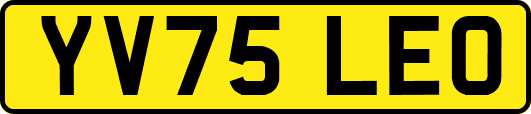 YV75LEO