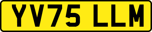 YV75LLM