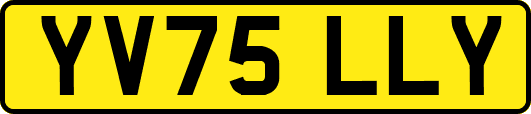 YV75LLY