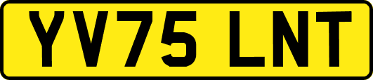 YV75LNT