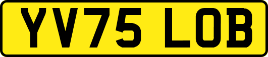 YV75LOB