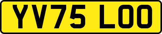 YV75LOO