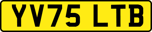 YV75LTB