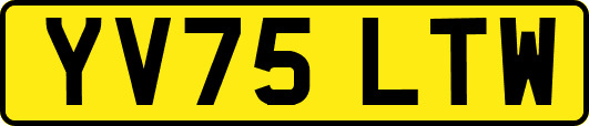 YV75LTW